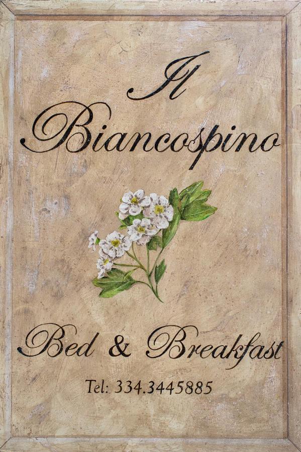 B&B Il Biancospino 阿巴迪亚·圣萨尔瓦多 外观 照片